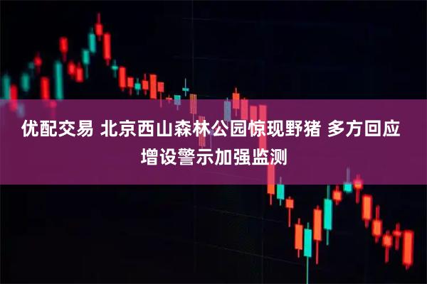 优配交易 北京西山森林公园惊现野猪 多方回应 增设警示加强监测