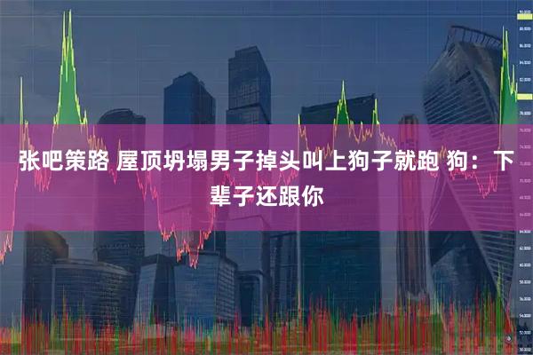 张吧策路 屋顶坍塌男子掉头叫上狗子就跑 狗：下辈子还跟你