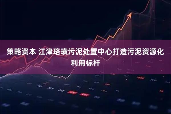 策略资本 江津珞璜污泥处置中心打造污泥资源化利用标杆