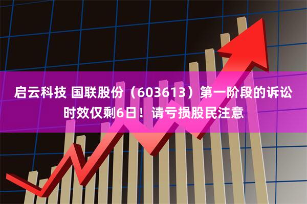 启云科技 国联股份（603613）第一阶段的诉讼时效仅剩6日！请亏损股民注意