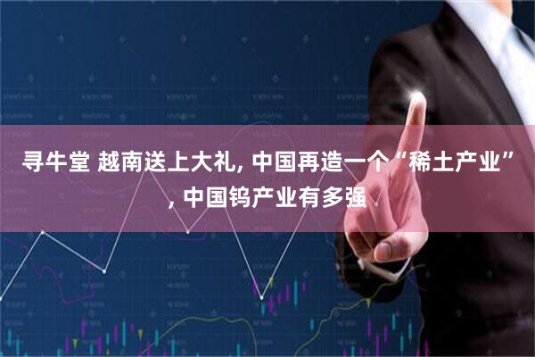 寻牛堂 越南送上大礼, 中国再造一个“稀土产业”, 中国钨产业有多强