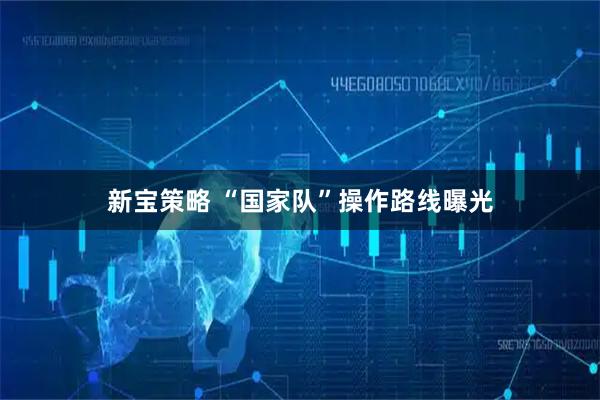 新宝策略 “国家队”操作路线曝光